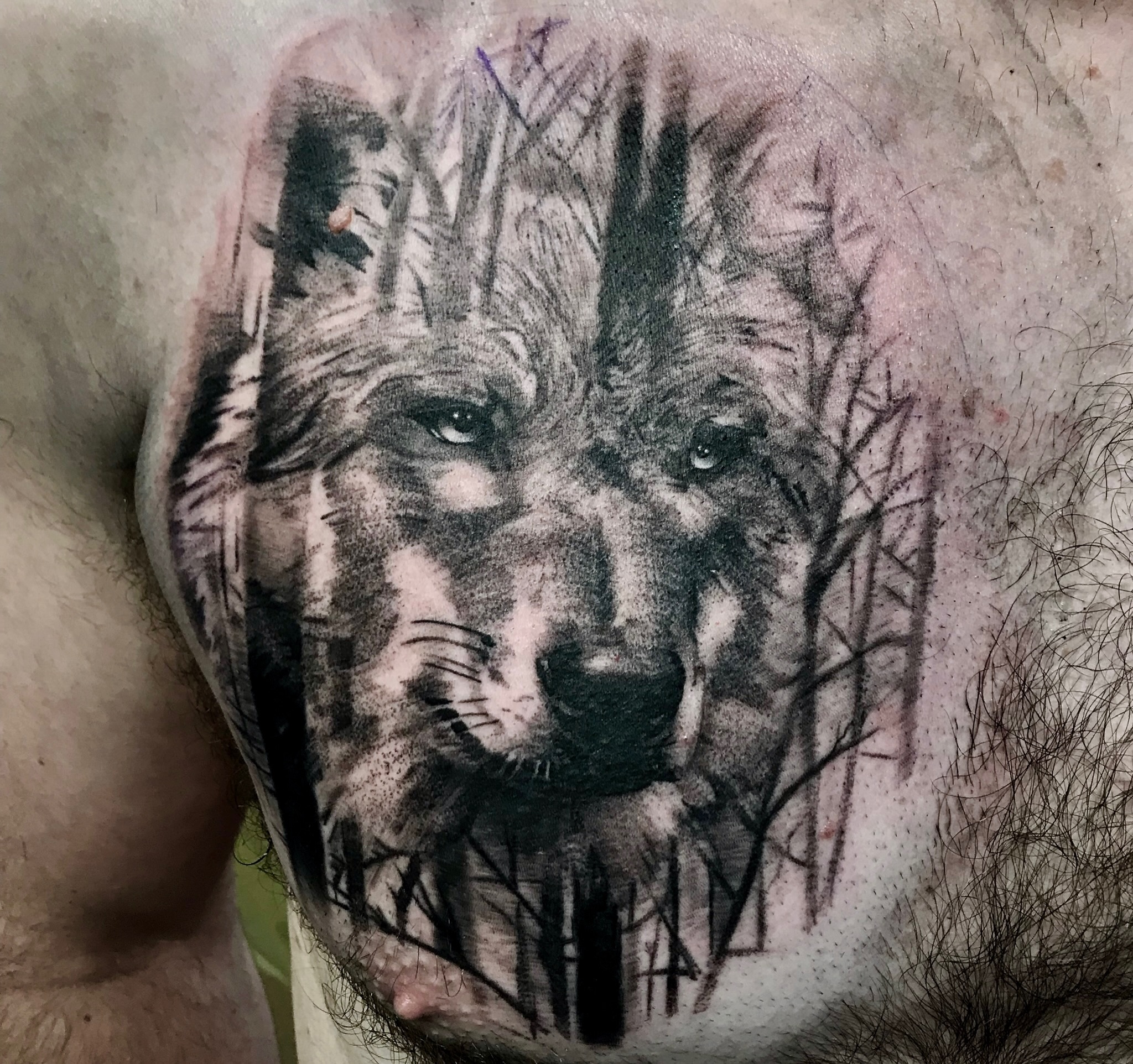 Wolf with trees tattoo